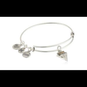 Alex and Ani bracelet